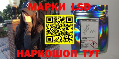кокс Донской