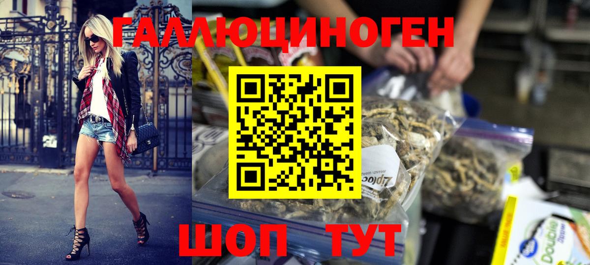 Псилоцибиновые грибы Psilocybe Малоярославец