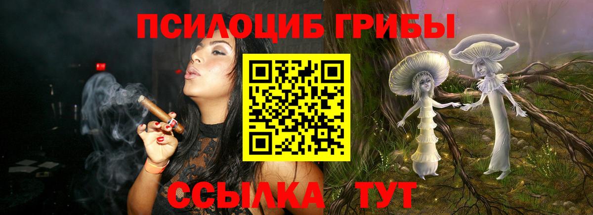 купить наркотик  Галлюциногенные грибы Cubensis  Малоярославец  Вход с VPN  Псилоцибиновые грибы Cubensis 